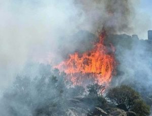 Çanakkale’de yangın paniği: Antik kente sıçradı