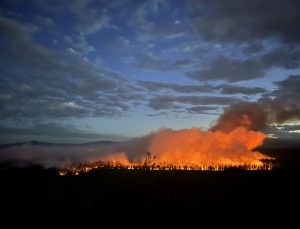 Oregon’da korkutan orman yangını: Bin 700 dönümlük alan kül oldu