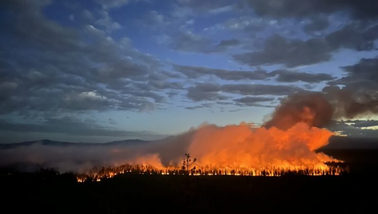 Oregon’da korkutan orman yangını: Bin 700 dönümlük alan kül oldu