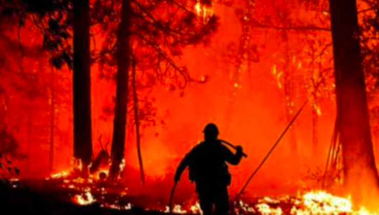 Orman yangınına müdahale sürüyor