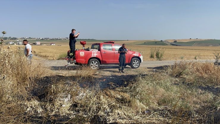 20 dekar buğday ekili alan yandı