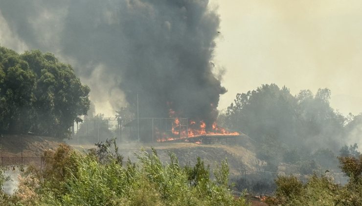 ABD orman yangınlarıyla boğuşuyor, 36 büyük yangın devam ediyor