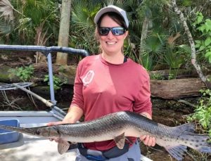 Florida’daki eğri balık biyologları şaşırttı