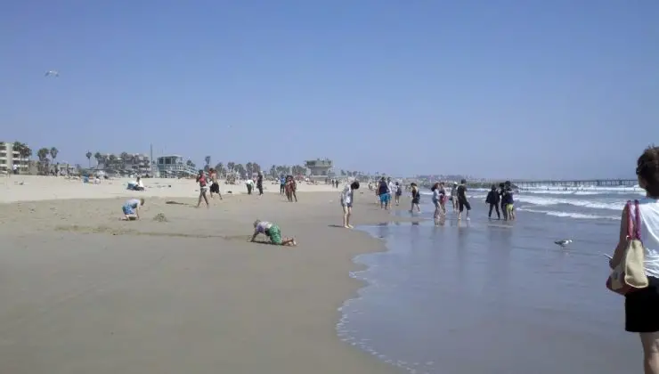 Los Angeles’da 18 plaj için bakteri uyarısı