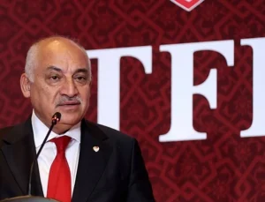 TFF Başkanı Mehmet Büyükekşi: Milli takım, gönüllerimizin şampiyonu