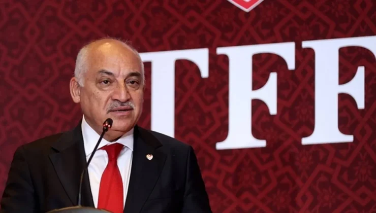 TFF Başkanı Mehmet Büyükekşi: Milli takım, gönüllerimizin şampiyonu