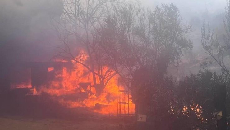 Brezilya son 70 yılın en ciddi kuraklığı ve orman yangınlarıyla mücadele ediyor