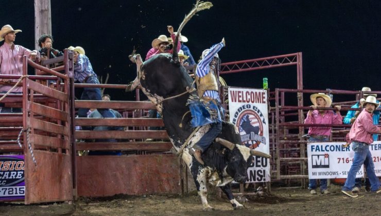 ABD’de rodeo heyecanı başladı