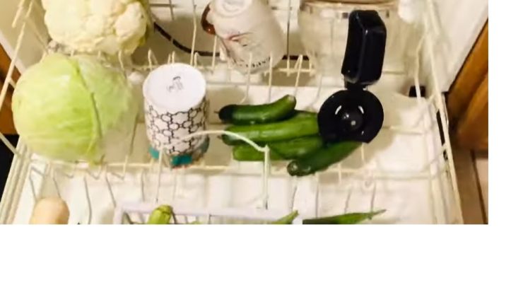 Meyve ve sebzeler bulaşık makinesinde yıkanır mı?