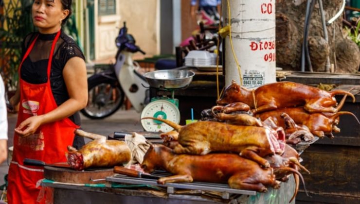 Güney Kore’de köpek eti ticareti ve tüketimi yasaklandı