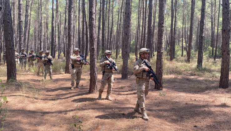 Orman yangınlarına karşı jandarma görev başında