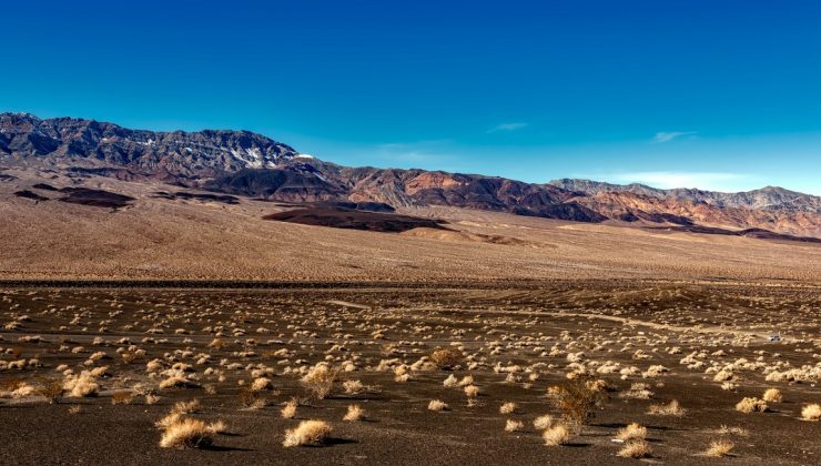 Kuraklık, Kaliforniya’da insanları hasta eden mantarın yayılmasını körüklüyor