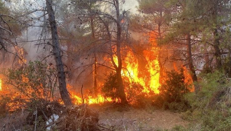 Çanakkale’de sonbahar yangını… Müdahaleler sürüyor