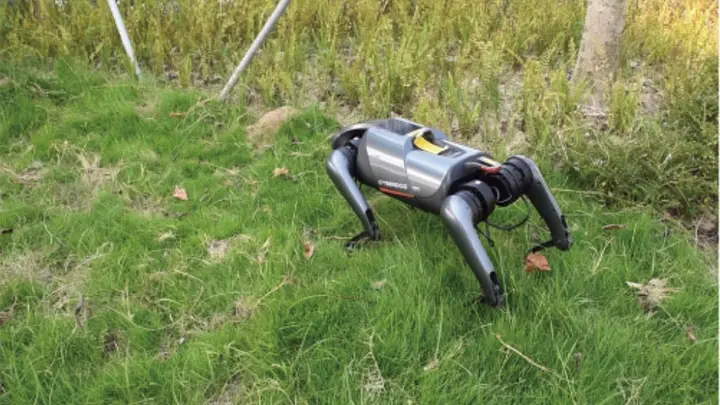 İstilacı böceklerle mücadelede yapay zeka dönemi, robot köpekler iş başında