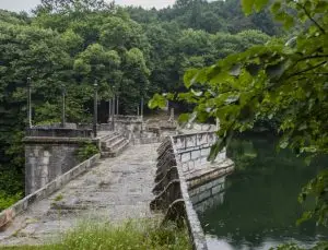 Belgrad Ormanı’nın işletmesi İBB’den Doğa Koruma Milli Parklar Genel Müdürlüğü’ne geçti