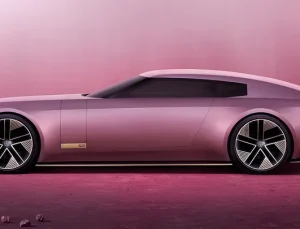 Pembe Jaguar tartışma yarattı