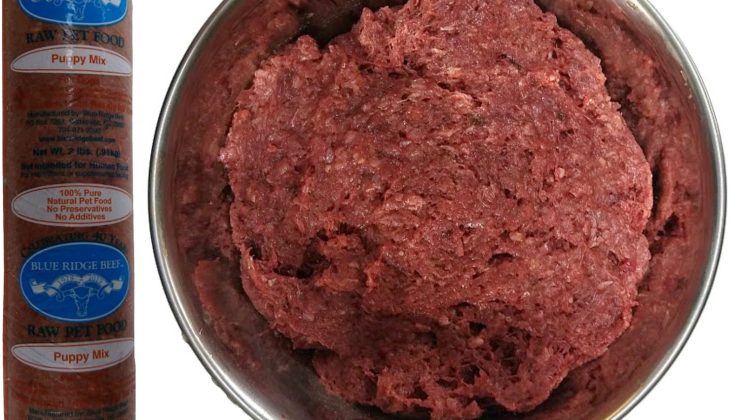 Köpek mamasında Salmonella tehlikesi, 2.5 ton mama geri çağrıldı